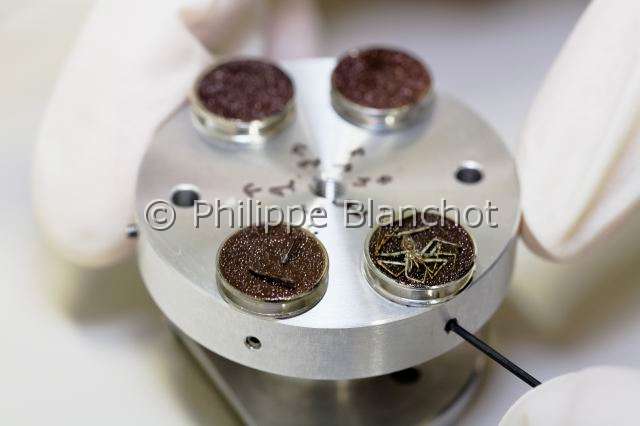 Collection-araignees_8331.JPG - France, Paris (75), Muséum national d'Histoire naturelle, Introduction des échantillons métallisés d'une araignée dans la chambre du microscope électronique à balayage (MEB), SEM chamber (Scanning Electron Microscopy)