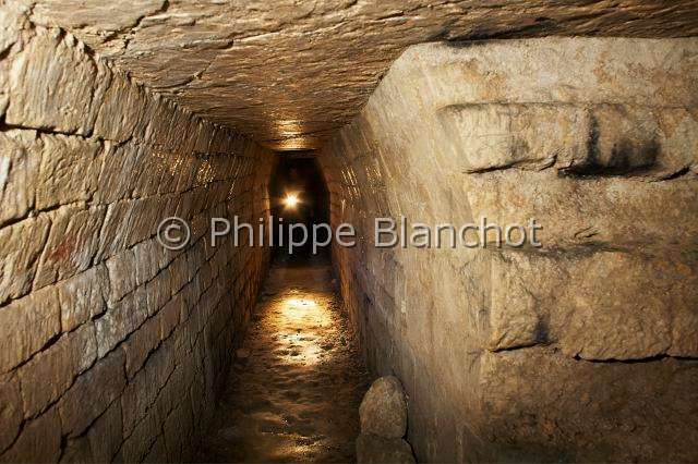 PBL_Araignees_2014_MG_8240.JPG - France, Paris (75), Muséum national d'Histoire naturelle, Galeries souterraines