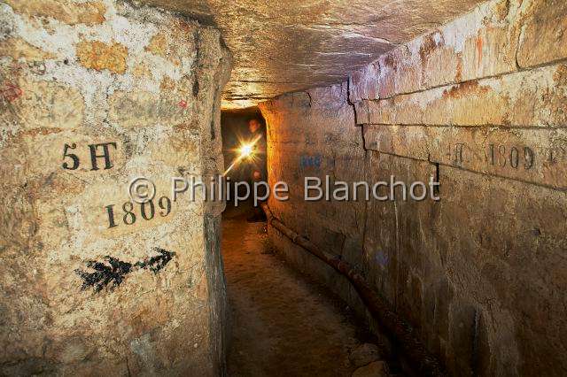 PBL_Araignees_2014_MG_8255.JPG - France, Paris (75), Muséum national d'Histoire naturelle, Galeries souterraines
