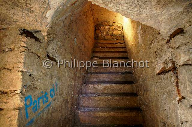 PBL_Araignees_2014_MG_8263.JPG - France, Paris (75), Muséum national d'Histoire naturelle, Galeries souterraines