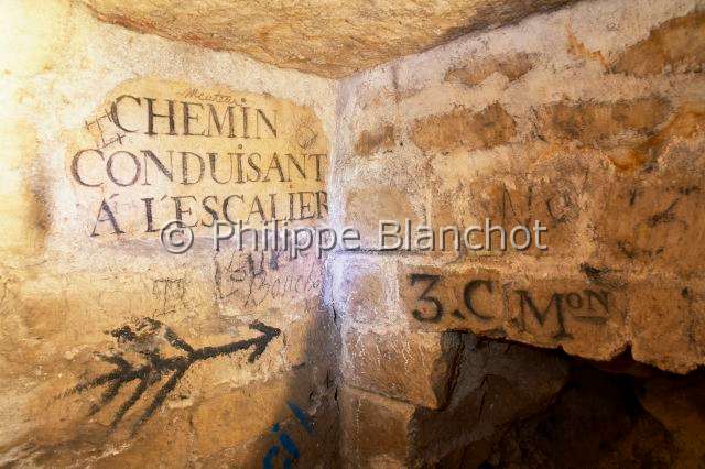 PBL_Araignees_2014_MG_8270.JPG - France, Paris (75), Muséum national d'Histoire naturelle, Galeries souterraines